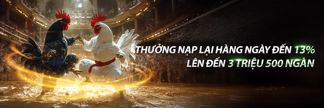 Đá Gà Trực Tuyến XX88E